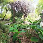 Home2book Charming Cruz Urban Center, Terrace Apartman Santa Cruz de Tenerife