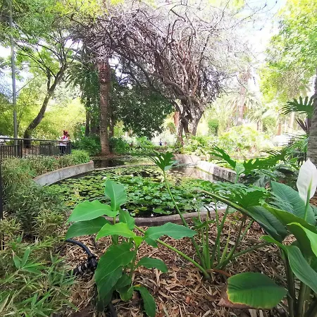 Home2book Charming Cruz Urban Center, Terrace 아파트 산타크루스데 테네리페