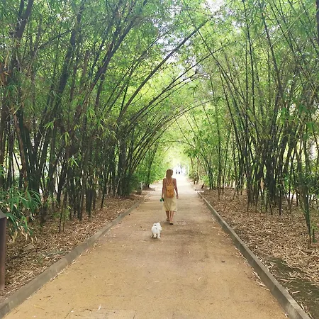 Home2book Charming Cruz Urban Center, Terrace 아파트 산타크루스데 테네리페